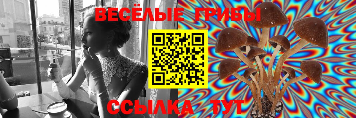 Псилоцибиновые грибы Psilocybine cubensis  Вход с VPN  закладки  Павлово 